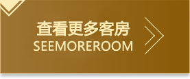 查看更多客房展示